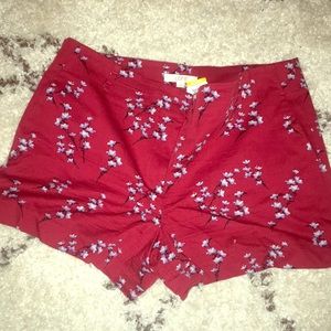 NWT Ann Taylor Riviera Short Size 12